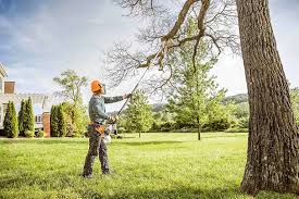 Best Stump Grinding and Removal  in Crestwood, KY