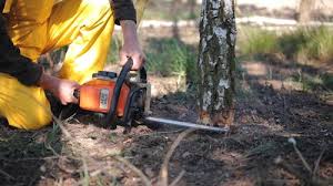 Best Lawn Mowing  in Crestwood, KY