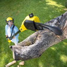 Best Seasonal Cleanup (Spring/Fall)  in Crestwood, KY