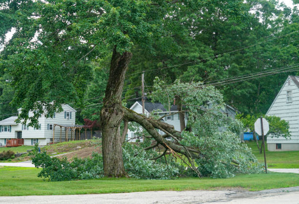 Best Emergency Tree Removal  in Crestwood, KY